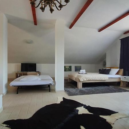 Villa Mons Aureus Popovac Luaran gambar