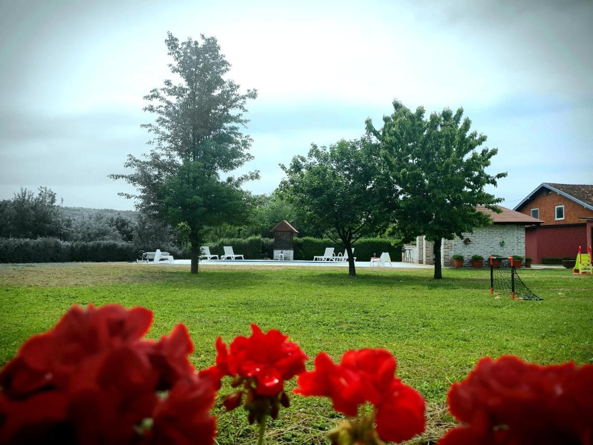 Villa Mons Aureus Popovac Luaran gambar