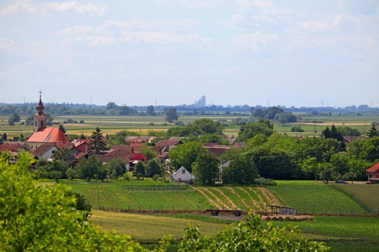 Villa Mons Aureus Popovac Luaran gambar