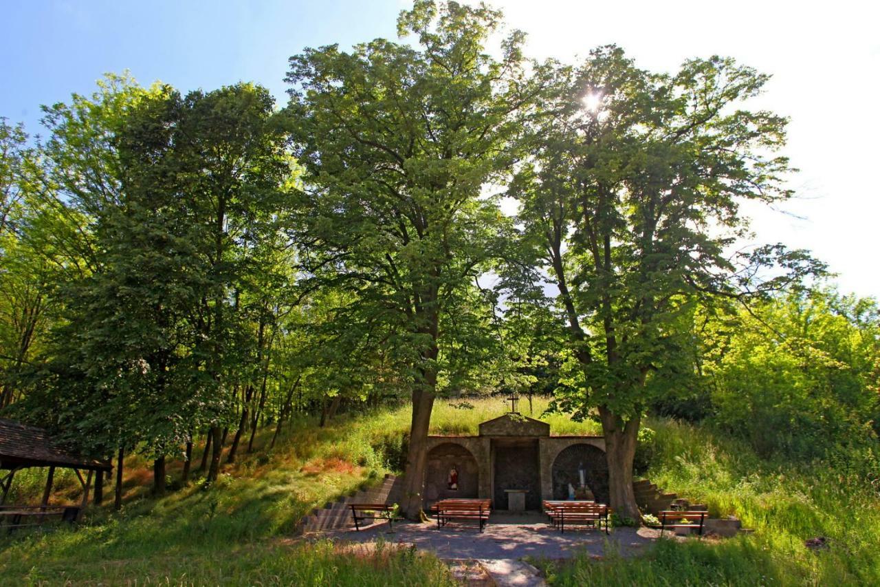 Villa Mons Aureus Popovac Luaran gambar